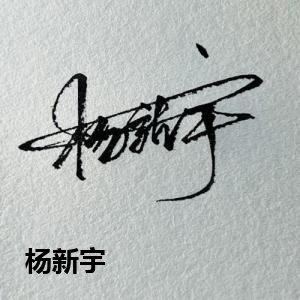 杨新宇