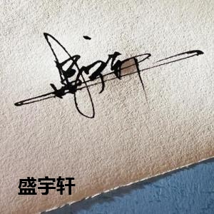 盛宇轩