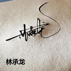 林承龙