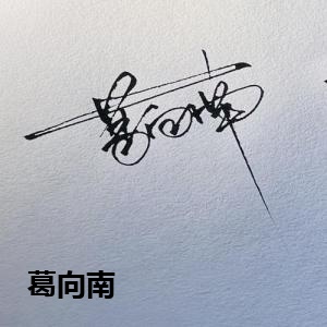 葛向南